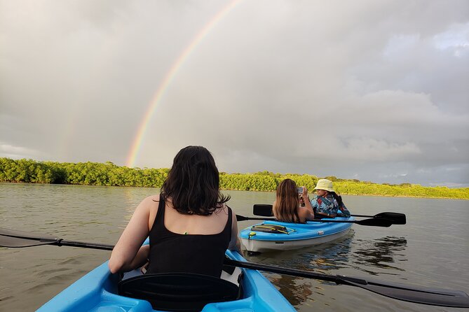 Kayaking Tour Chiriqui - Good To Know