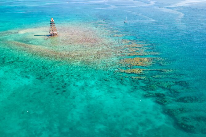 Key West Afternoon Reef Snorkeling With Open Bar - Key Points