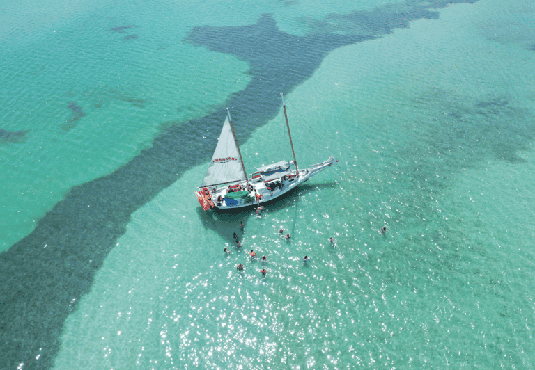 Key West Afternoon Sail, Snorkel, Kayak & Sunset Excursion - Customer Feedback