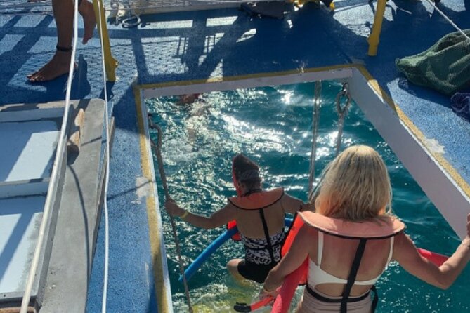 Key West Rum and Reef: Snorkel Adventure and Sunset Sail - Key Points