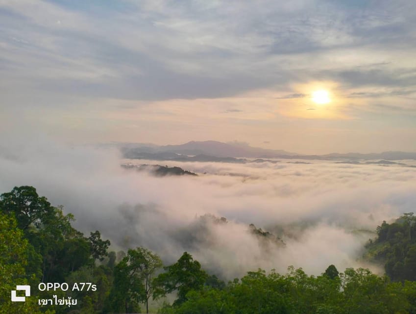 Khao Lak: Sea of Fog on Hill With Homestay One Night - Key Points