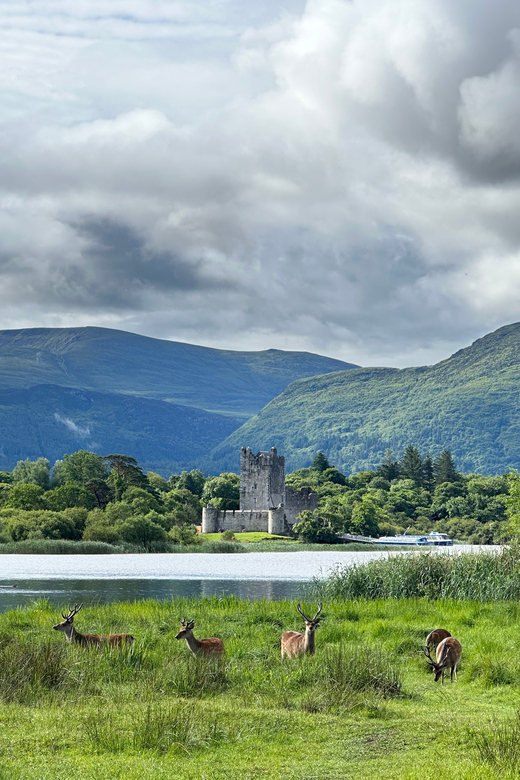 Killarney Jaunting Car Tour - Good To Know