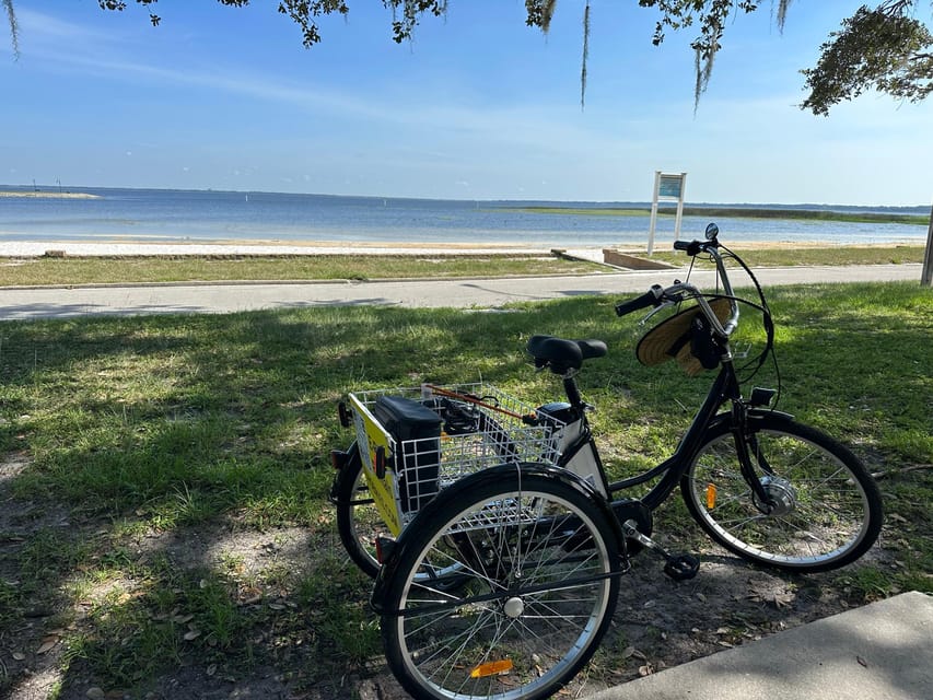 Kissimmee: Experience Wild Florida Nature All Electric Trike - Key Points