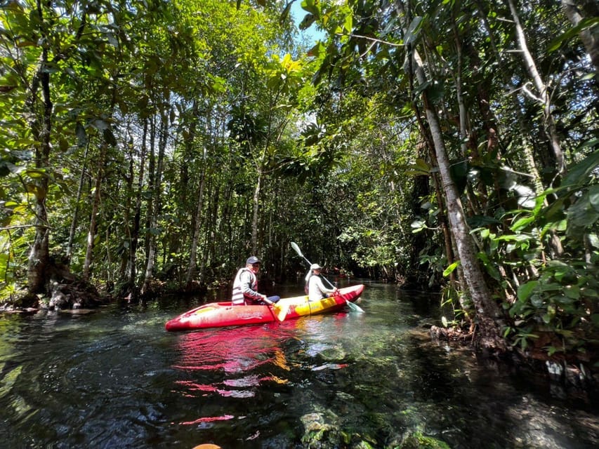 Klong Rud Kayaking With Hotel Transfer - Key Points