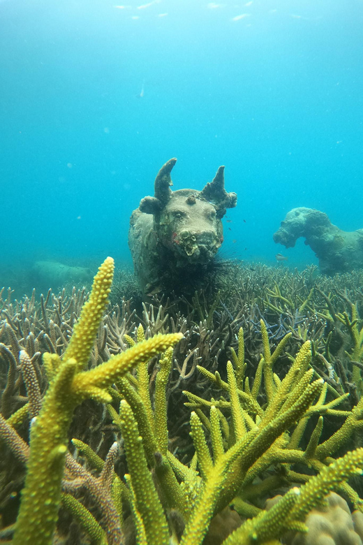 Koh Kood or Koh Rang: Snorkeling Trip With Lunch & Transfer - Key Points