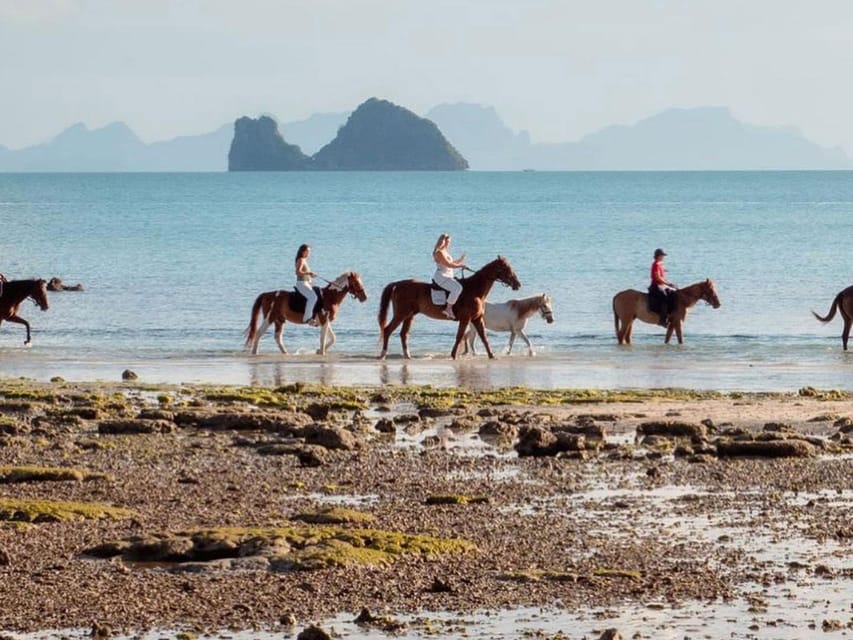 Koh Samui Horse Riding & Beach Trails - Key Points