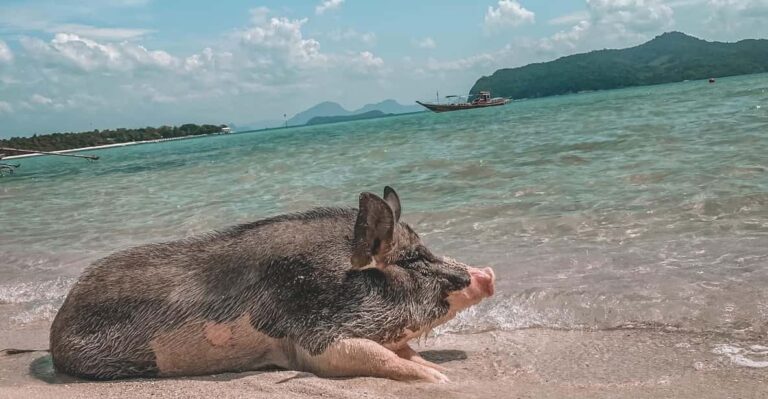 Koh Samui: Koh Madsum and Koh Tan by Private Longtail Boat.