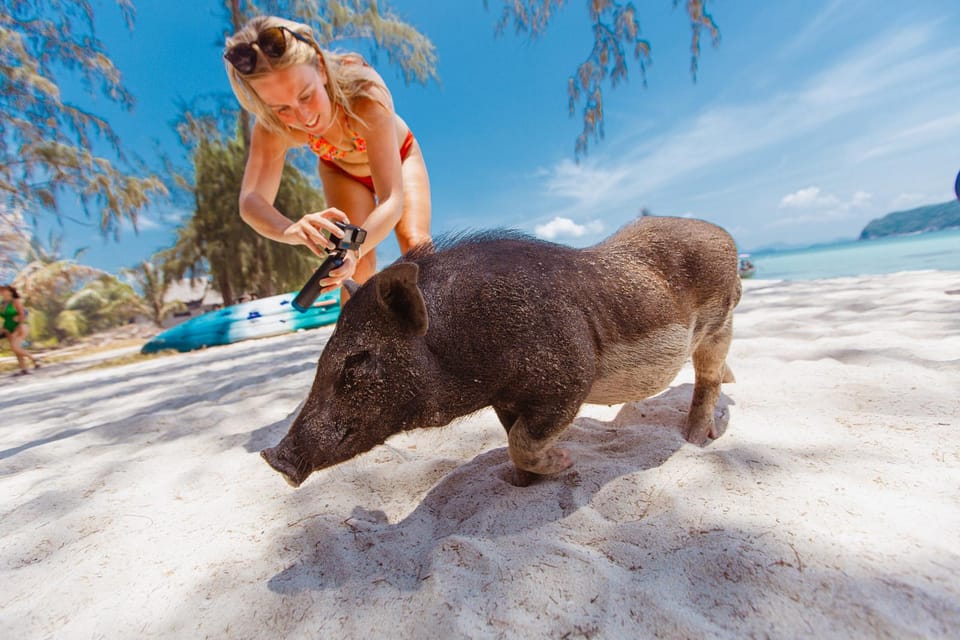 Koh Samui: Pig Island Private Longtail Boat Tour - Key Points