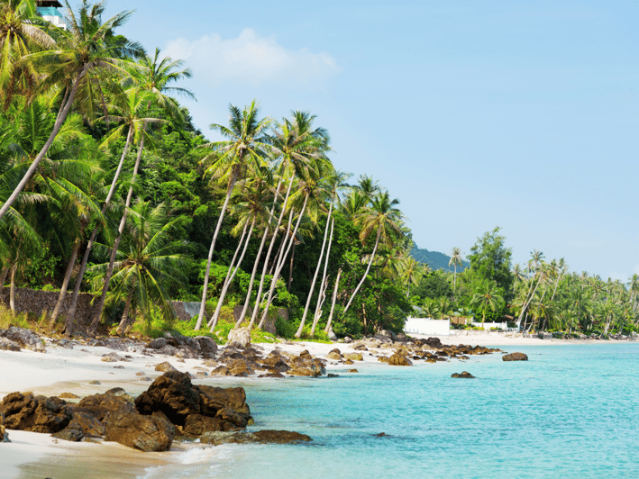 Koh Samui: Private Half-day Taxi Tour in the South - Key Points