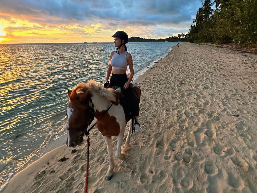 Koh Samui: Sunset Trail Horse Riding on The Beach - Key Points