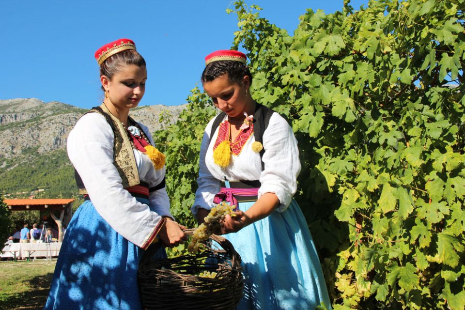 Konavle Valley: Private Half-Day Tour With Wine Tasting - Good To Know