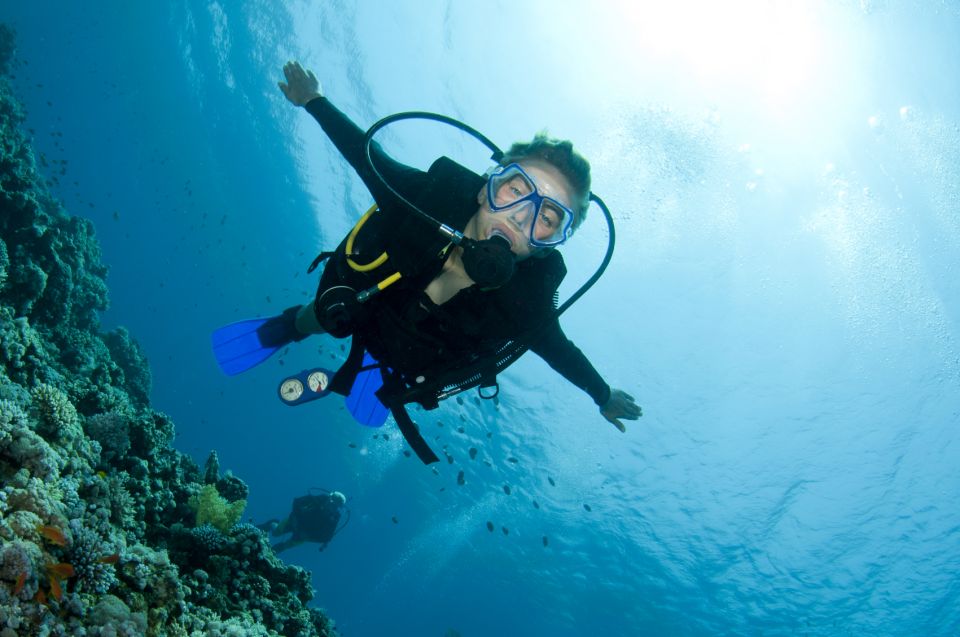 Kos: Beginner Scuba Diving at Pserimos Island - Key Points