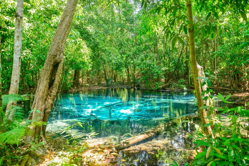 Krabi Private Escape: Emerald Pool, Hot Springs & Tiger Cave - Key Points