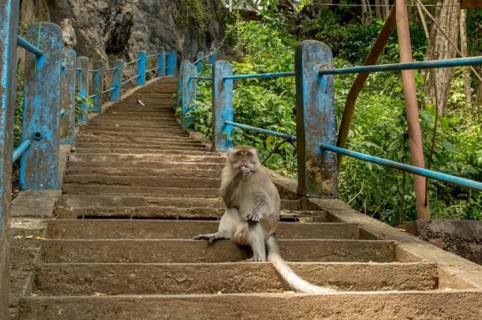 Krabi: Tiger Cave Temple and Elephant Sanctuary Visit - Key Points