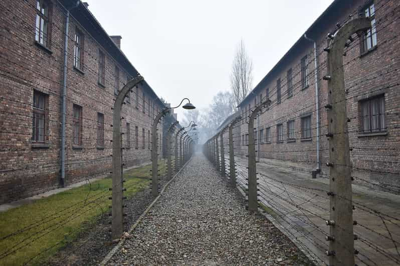 Krakow: Auschwitz-Birkenau Day Trip With Tour Leader - Pricing and Discounts