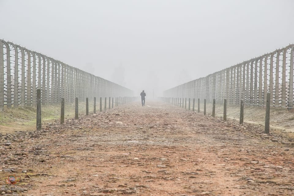 Krakow: Auschwitz-Birkenau Extended Guided Tour & Options - Good To Know