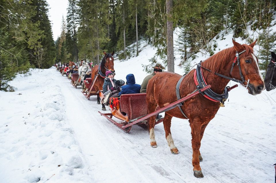 Kraków Frame; Tatra Mountain Sleigh Ride in Zakopane - Good To Know