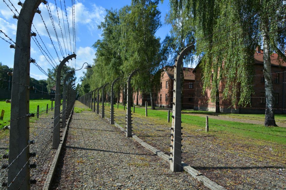 Krakow: Guided Auschwitz Birkenau Tour - Good To Know