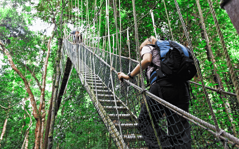 Kuala Lumpur: Taman Negara National Park Teras Waterfall - Itinerary Highlights