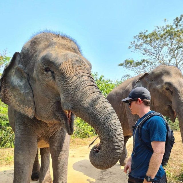 Kulen Elephant Forest Siem Reap in Small Group - Good To Know