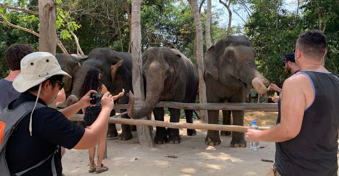 Kulen Elephant Forest & Tonlesap Lake Include Boat /Transfer - Good To Know