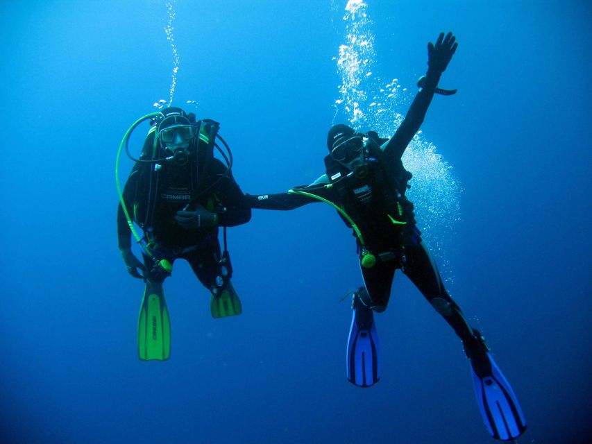 Kusadasi: Scuba Diving for Beginner or Experienced W/ Lunch - Overview of the Diving Tour