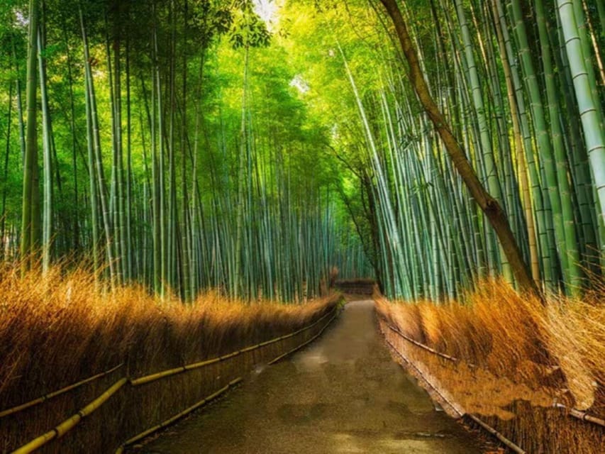 Kyoto: Arashiyama and Sanzen In Temple Day Tour - Tour Overview and Pricing