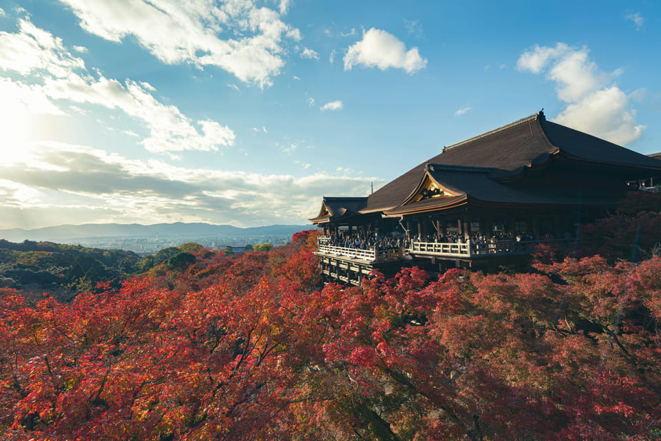 Kyoto Classic Day Trip: Peaceful Temples & Shrines & Gion - Key Points