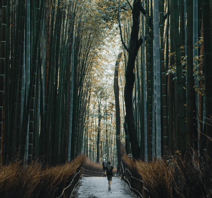 Kyoto Classic Day Trip: Peaceful Temples & Shrines & Gion - Highlights of the Itinerary