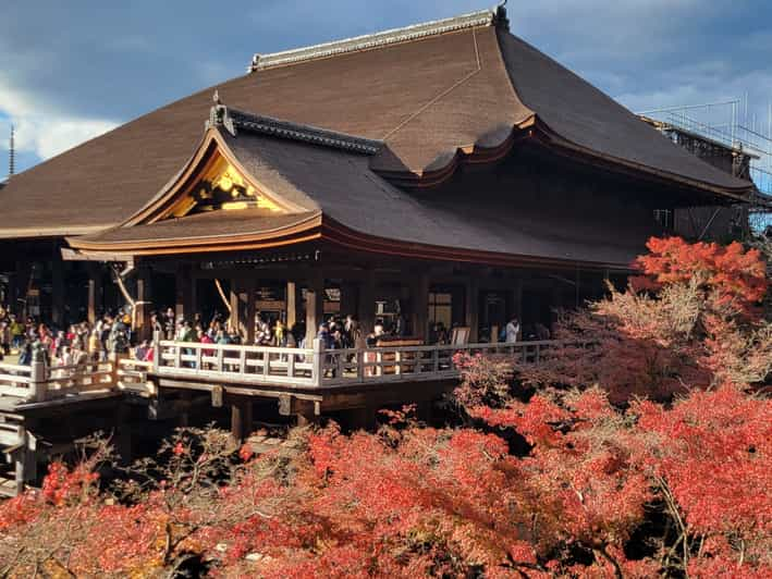 Kyoto Experience With a Local Certified Guide - Tour Overview and Pricing