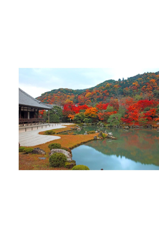 Kyoto: Full Day UNESCO And Historical Sites Private Car Tour - Pickup and Itinerary Details