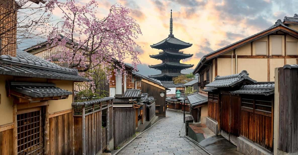 Kyoto/Osaka: Kyoto and Nara Customized Private Guided Tour - Key Points