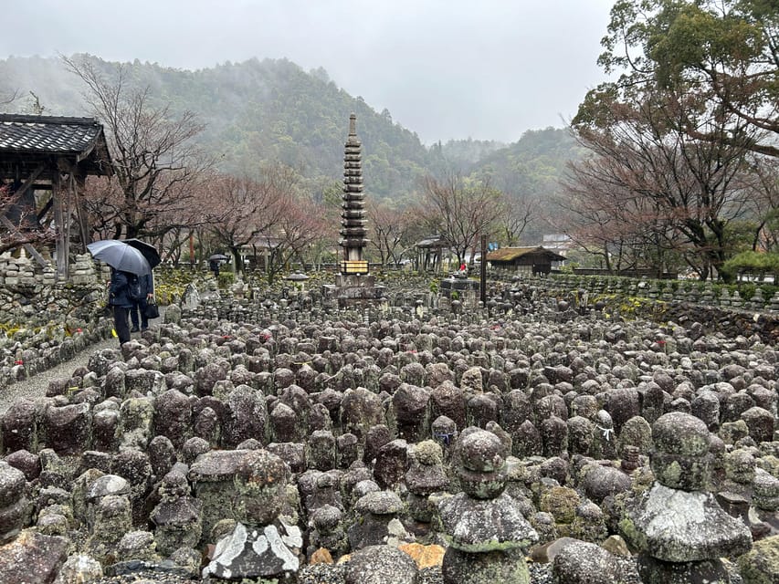 Kyoto Private Car Tour With Japanese&Local Guide - Overview of the Tour