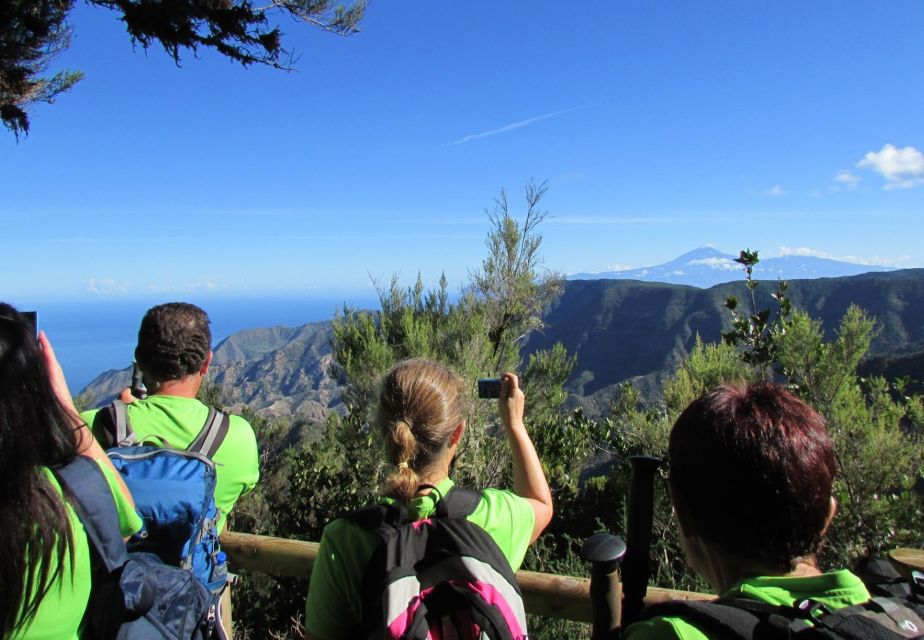 La Gomera: Garajonay National Park Forest Walk - Key Points