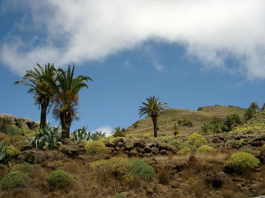 La Gomera: Guided Hiking Tours From Valle Gran Rey - Key Points