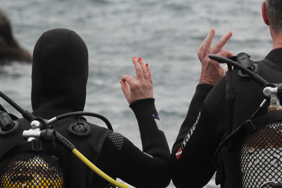 La Palma: Basic Diver Certification With 2 Atlantic Dives - Key Points