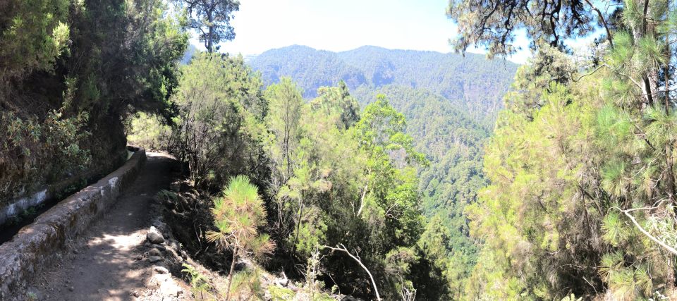 La Palma: Guided Trekking Tour Springs Marcos Y Cordero - Key Points