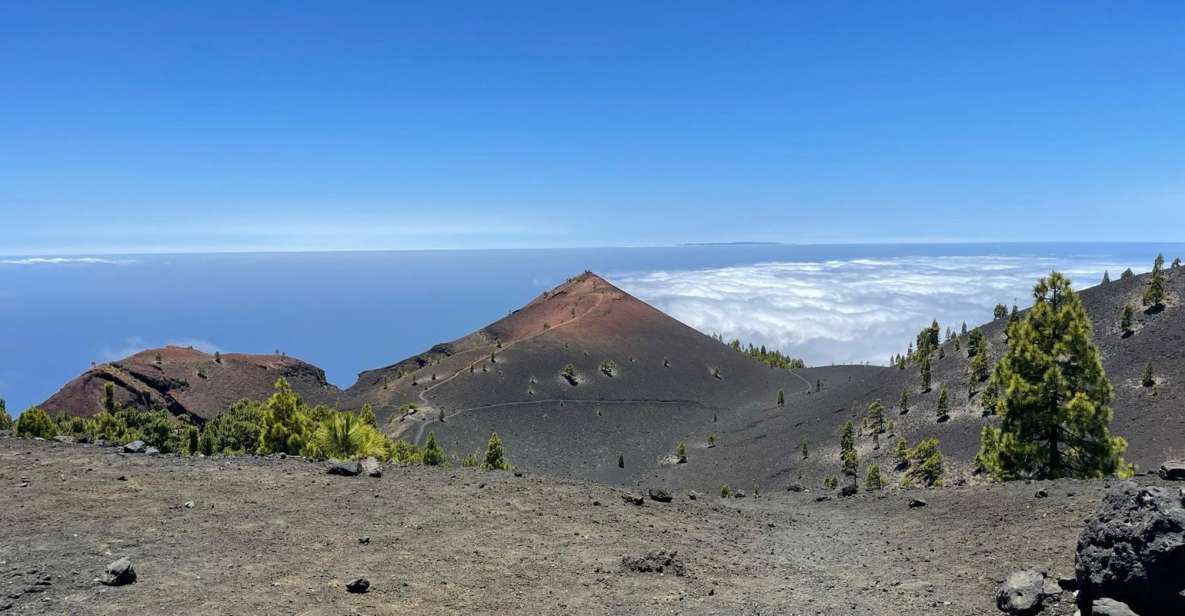 La Palma: Guided Trekking Tour to Volcanoes South - Key Points