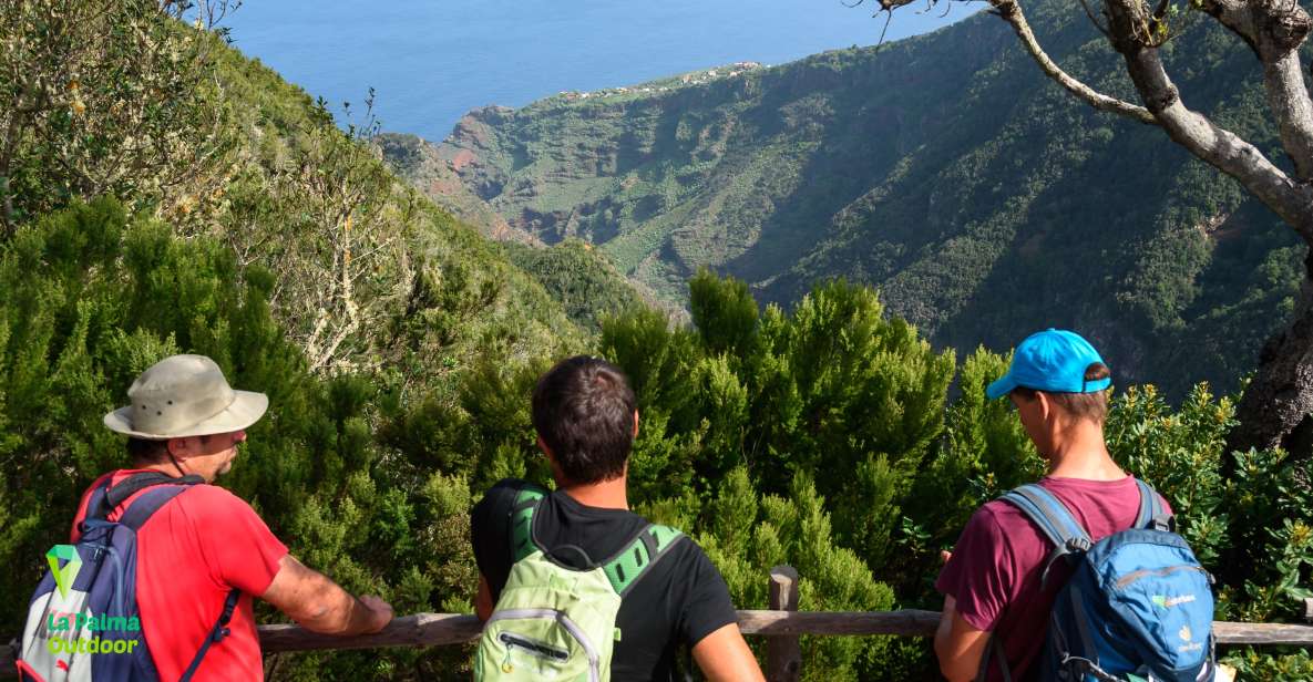 La Palma: Zarza Archaeological Park Guided Trek - Key Points