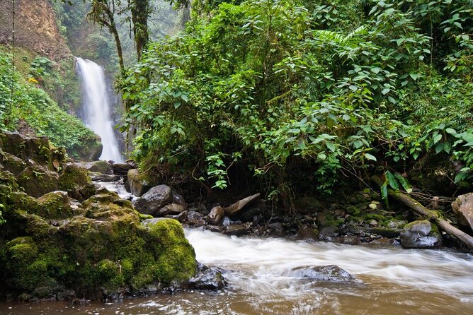 La Paz Waterfall Gardens Day Tour From San José - Key Points