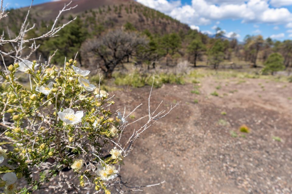 La Sal Mountain Loop: Scenic Self-Guided Driving Audio Tour - Key Points