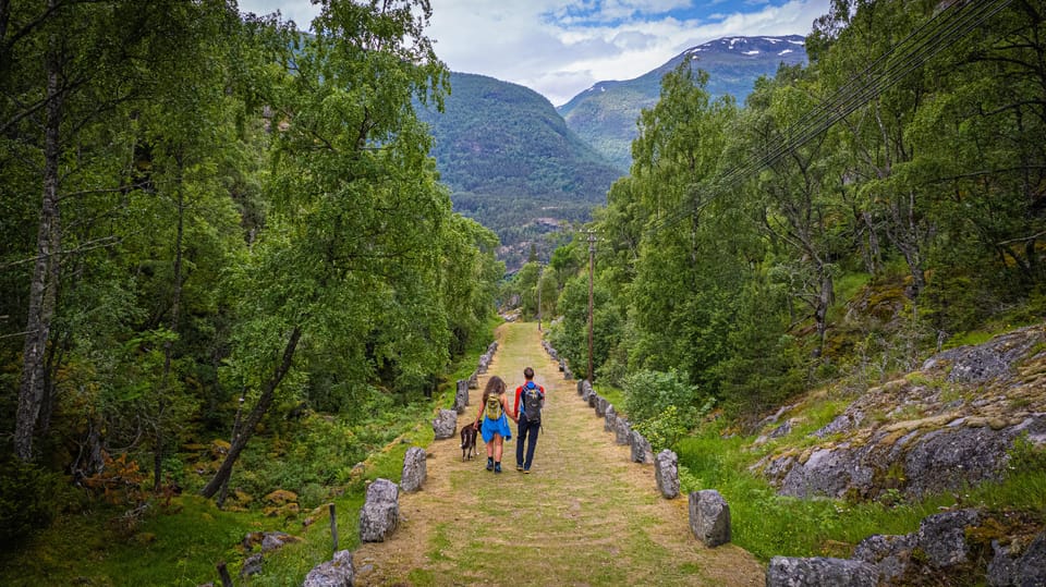 Lærdal: Guided Tour in Borgund Stave Church and Vindhella - Good To Know