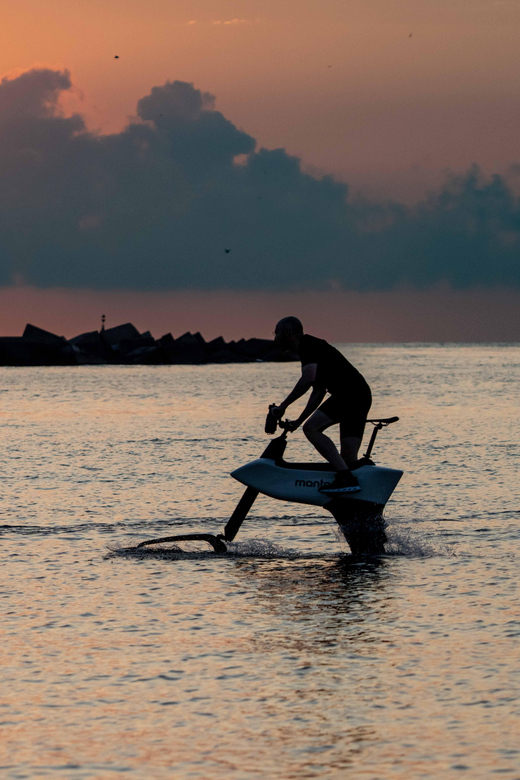 LAKE GARDA: HYDROFOIL BIKE HALF-DAY EXPERIENCE in San Felice - Key Points