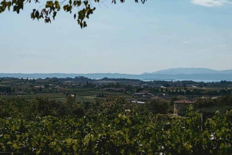 Lake Garda: Vineyard Tour and Tasting on the Hills - Key Points