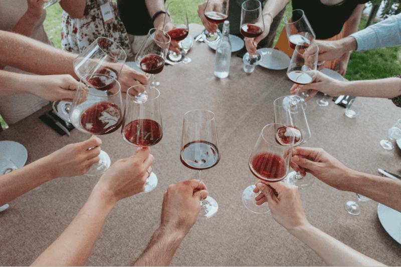Lake Garda: Vineyard Tour and Tasting on the Hills - Itinerary Details