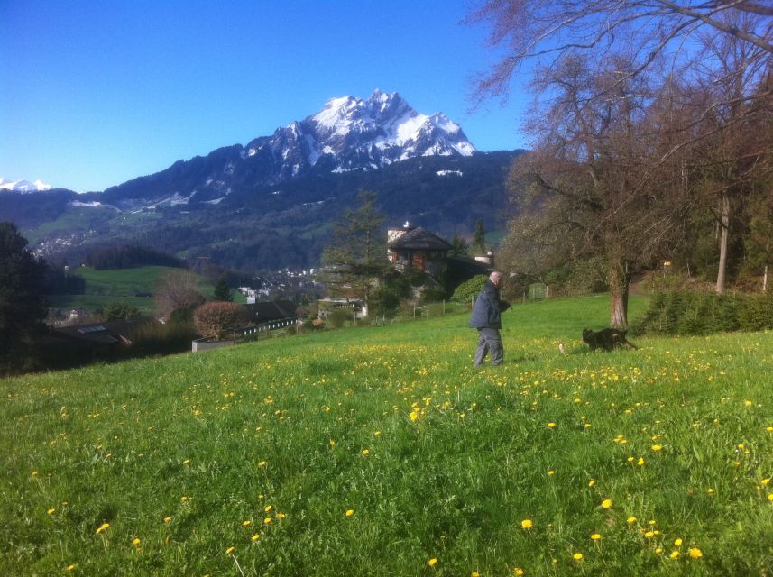 Lake Lucerne Half-day Countryside Walk - Good To Know