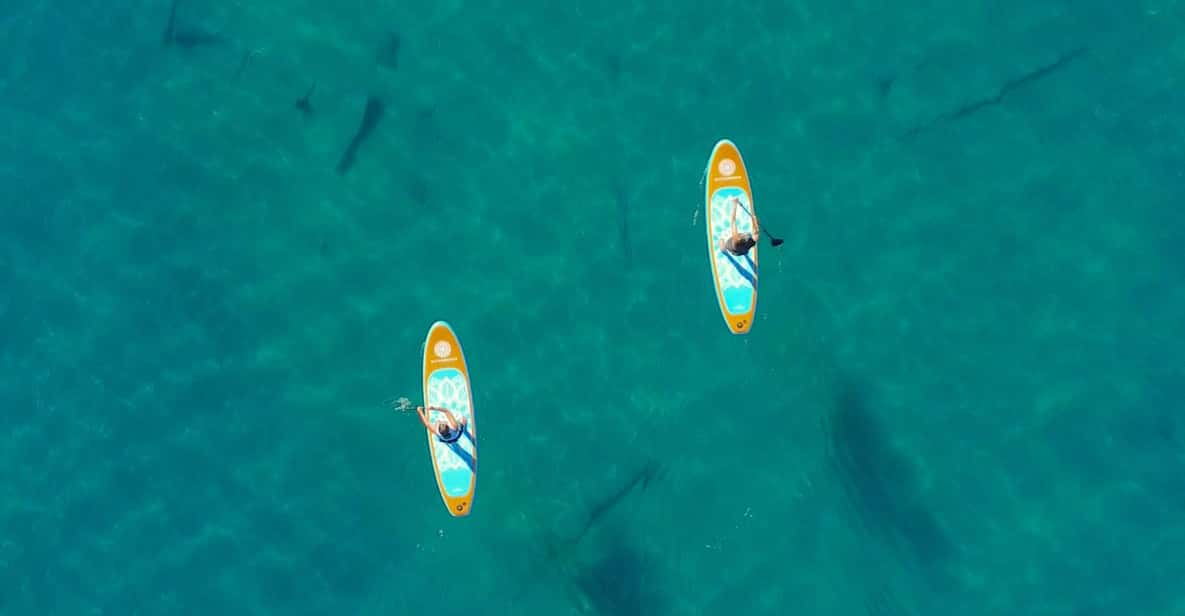 Lake Mead: Paddle Board (Sup) Rentals Near Las Vegas - Key Points