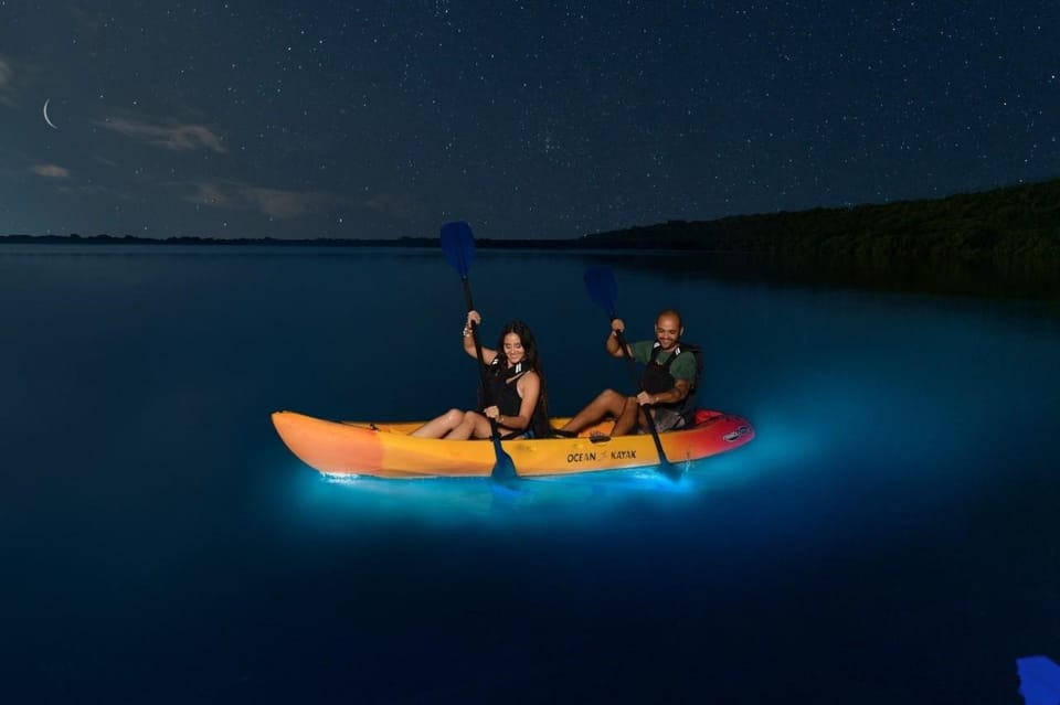 Lan Ha Bay: Bioluminescent Kayak Tour: Sunset, Diner, Ticket - Key Points