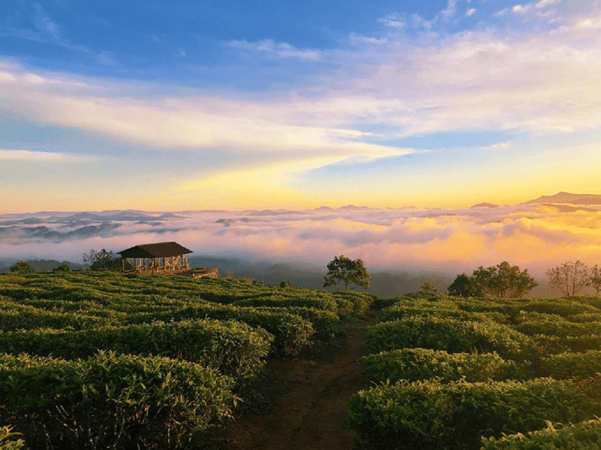 Langbiang Mountain Tour - Local Culture at Lat Kho