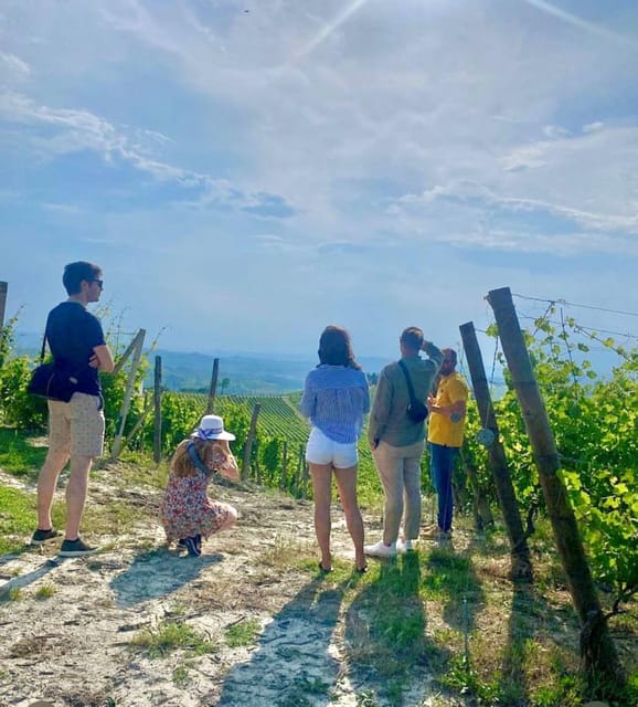 Langhe Wine Tour With a Winemaker - Key Points